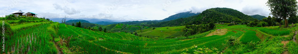 Beautiful rice terraces at Ban Pa Pong Pieng, Mae chaem, Chaing Beautiful rice terraces at Ban Pa Pong Pieng, Mae chaem, Chaing