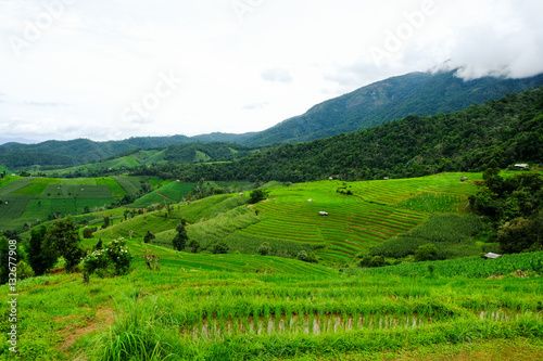 Beautiful rice terraces at Ban Pa Pong Pieng, Mae chaem, Chaing