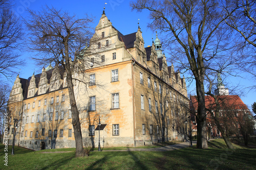 Historic Castle Olesnica in Poland
