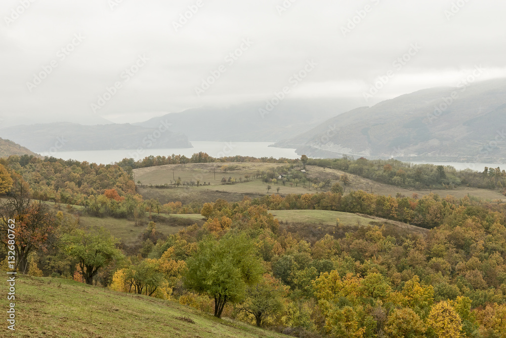Obraz premium Autumn day in the woods