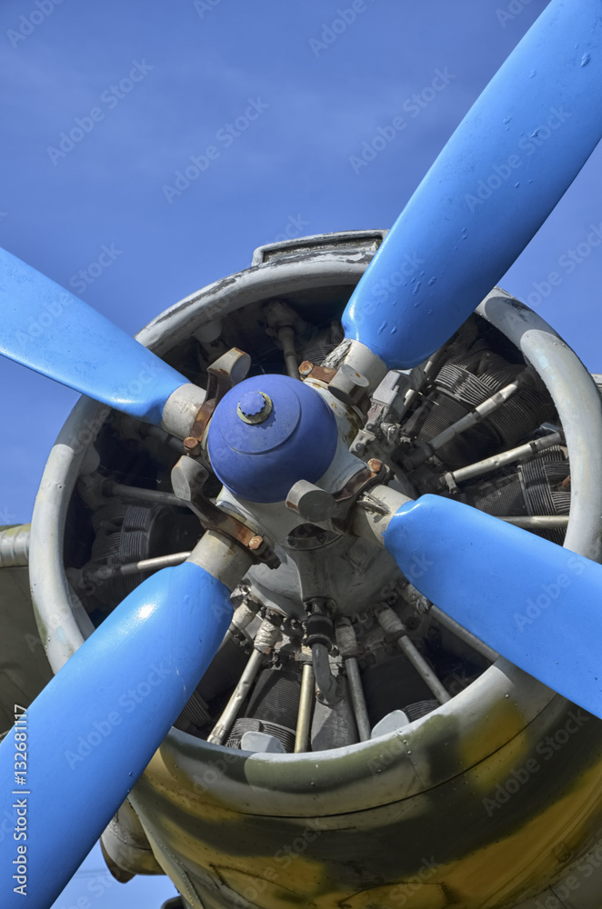Propeller blades of a Antonov An-2
