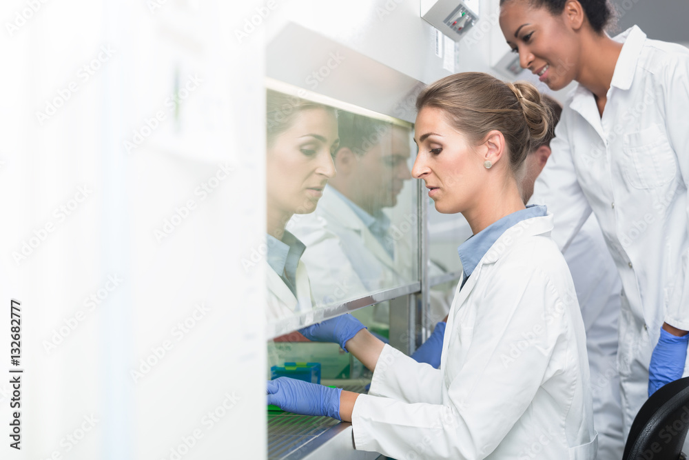 Fototapeta premium Forscherin und Labortechnikerin bei der wissenschaftlichen Arbeit