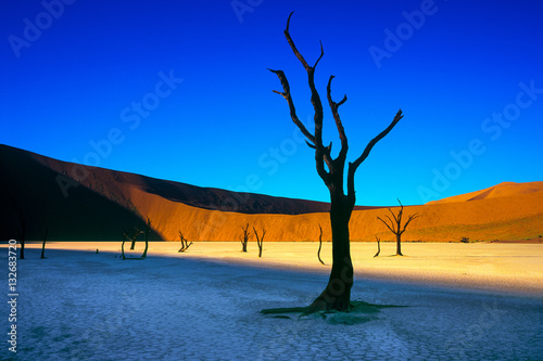 Plakat Sussusvlei Deadvlei - Namibia