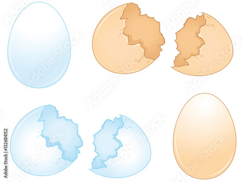 broken eggshells of chicken eggs collection icons