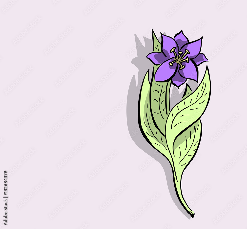 Vector bloem