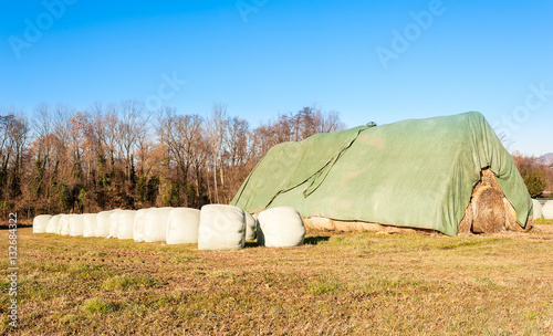 Hay bales in row in provisional barn
