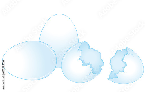 White chicken eggs collection