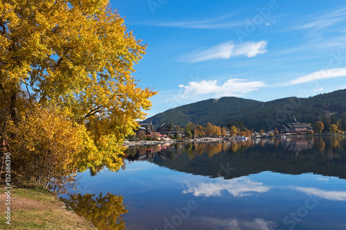 Yellow poplar on the shore of Titisee Lake in the sunny autumn day, Germany