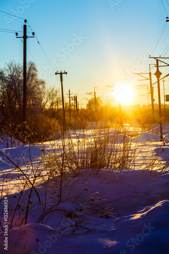 Frosty evening, the setting sun through the branches of the tree