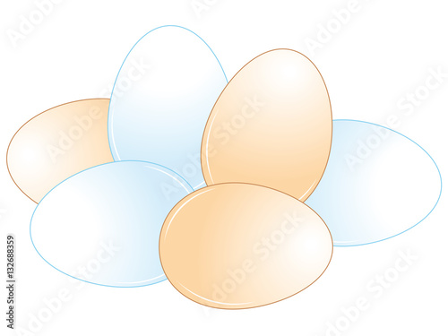 Chicken eggs collection