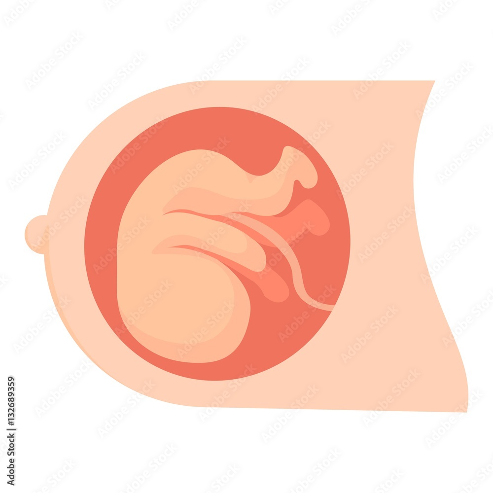 Baby in womb icon, cartoon style Baby in womb icon, cartoon style
