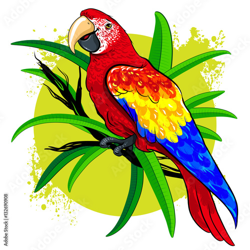 vector drawing of a large bright colored parrot on  background  green leaves