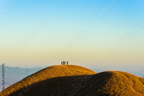 People success to trekking Gold grass on Doi Monjong the mountain valley in Chiangmai  Thailand  during sunrise. Natural summer landscape