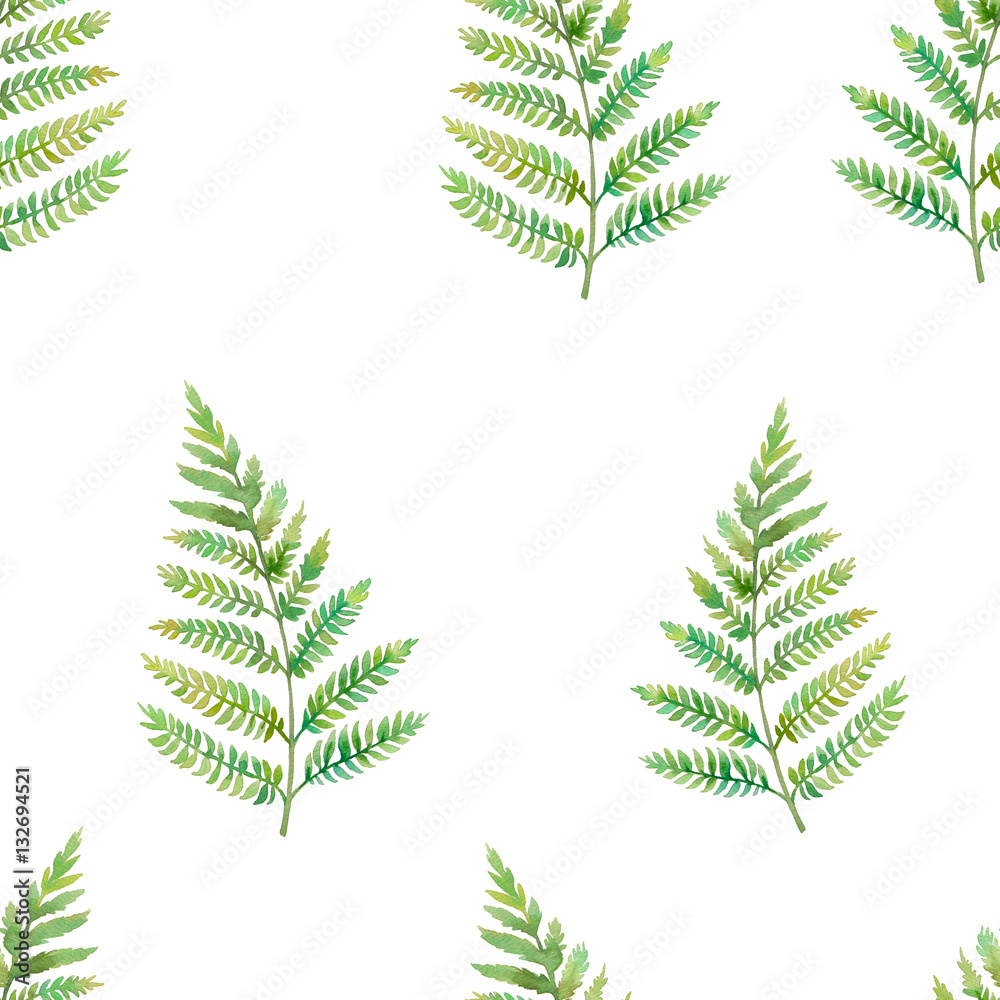 Watercolor fern leaf seamless pattern. Hand painted greenery texture design. Plant silhouette on white background