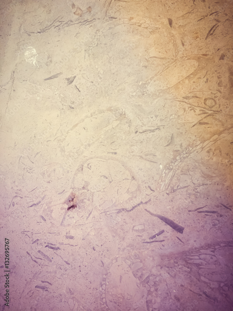 Obraz premium Natural stone surface texture background