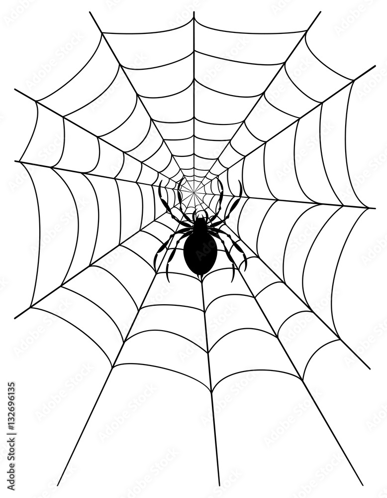 Obraz premium spider web stock vector illustration