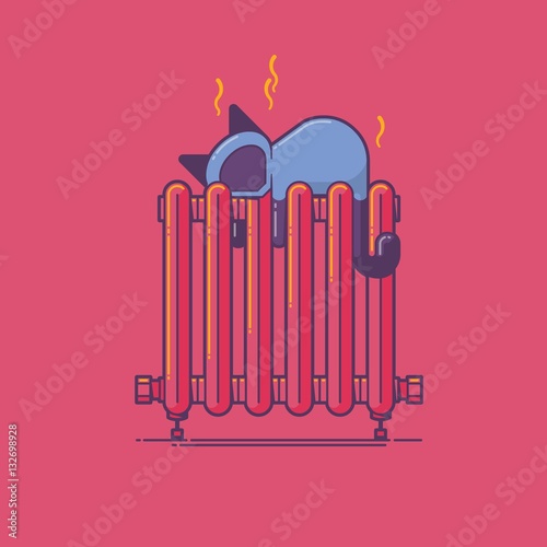 cat sleeping on radiator