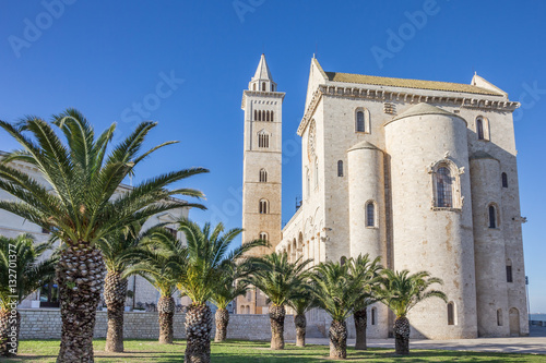 Obraz na płótnie Cathedral of Trani with palm trees in front w salonie
