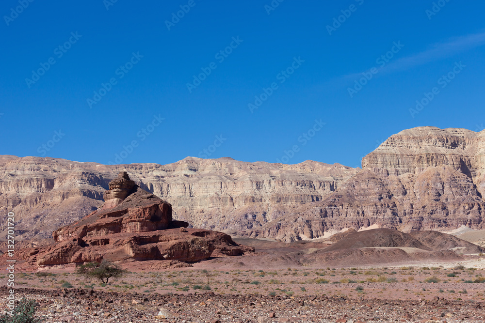 Fototapeta premium Timna park - Mount Screw with desert mountains and blue sky in the background