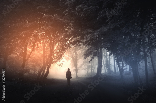 fantasy forest landscape. Mysterious surreal light in gloomy dark forest with fog between trees and man walking on natural path