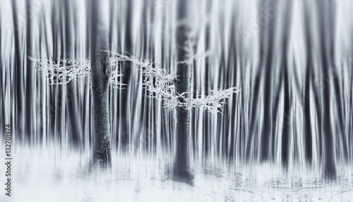 Abstract winter forest. Camera movement effect, motion blur in woods landscape with surreal winter atmosphere