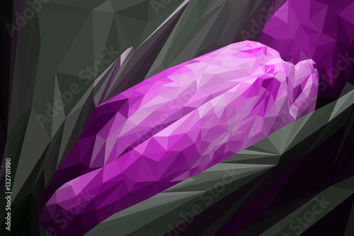 Polygonal Background - Tulip