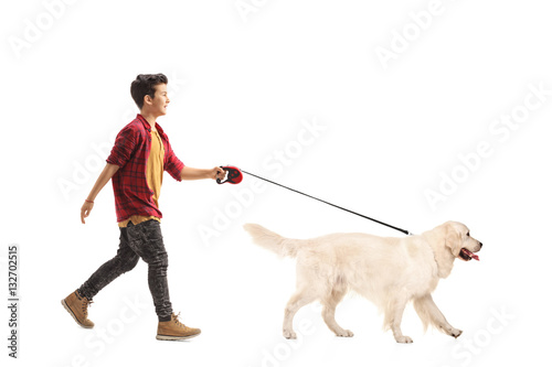 Little boy walking a dog