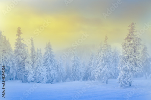 Winter scene in Poiana Brasov, beautiful landscape from Transylvania. Romania © cristianbalate