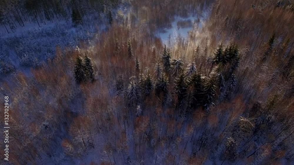 Flying over winter forest trees sunny weather top view 4k. Aerial vertical flight above snow cover wild woods with sun light shining beams. Global warming wilderness taiga bird eye perspective Flying over winter forest trees sunny weather top view 4k. Aerial vertical flight above snow cover wild woods with sun light shining beams. Global warming wilderness taiga bird eye perspective