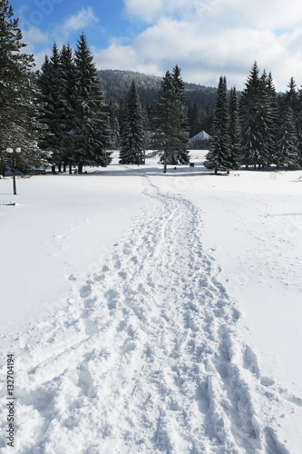 Footsteps on the snow