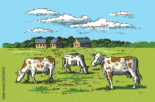 village and landscape
