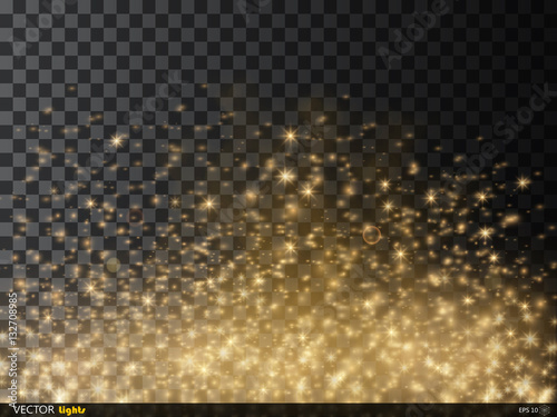 Vector gold glitter particles background effect for luxury greeting rich card. Sparkling texture. Star dust sparks in explosion on transparent background.