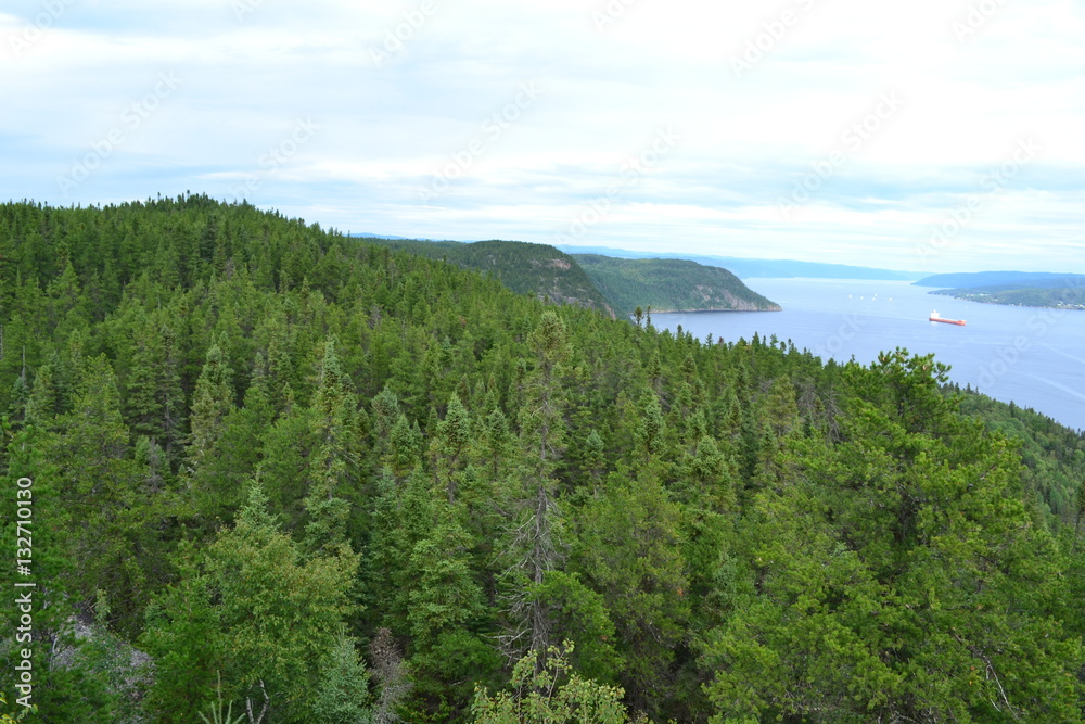 Forêt  du Fjord du Saguenay