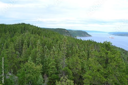 Forêt du Fjord du Saguenay