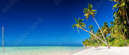 Fototapeta Naklejka Na Ścianę i Meble -  Panorama of tropical island with coconut palm trees on sandy bea