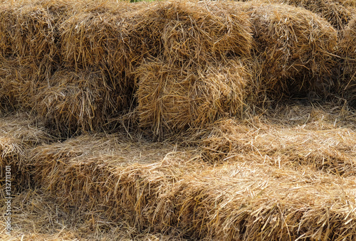 Rice straw group