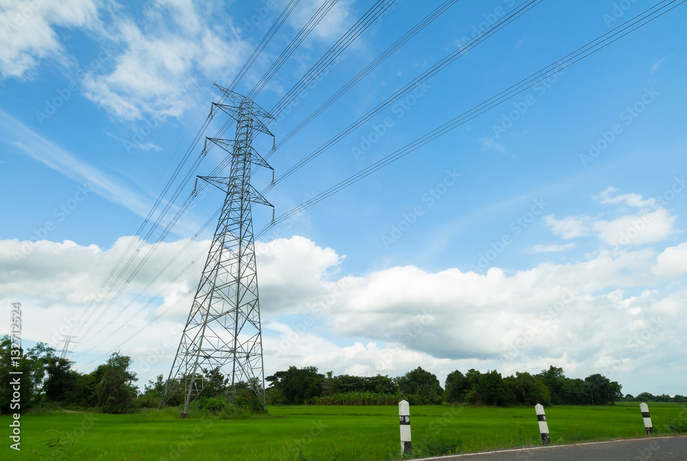 high-voltage tower in a rice field