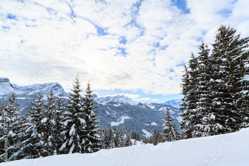 Winterlandschaft in der Schweiz © elenaklippert
