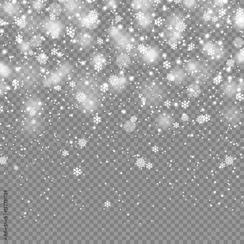 Falling Snow on Transparent Background