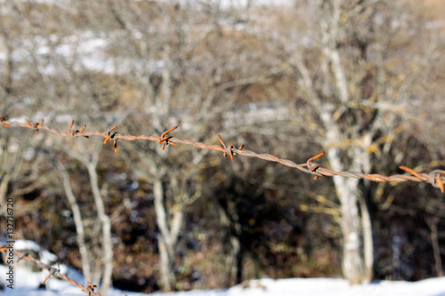 Barbed wire. Refugee concept.