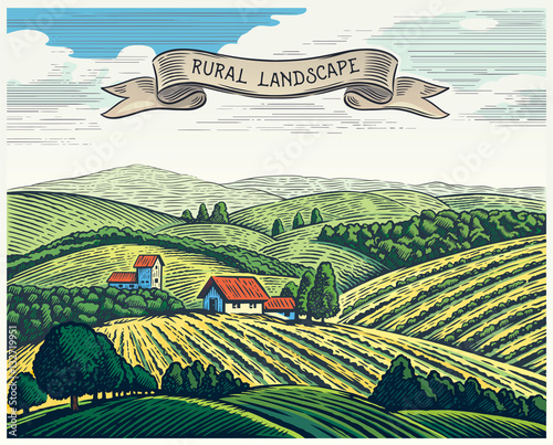 Rural landscape in graphical style, imitating the engraving. Hand drawn and converted to vector Illustration.