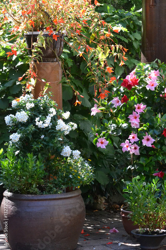 Terrasse mit Blumen
