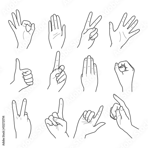 Hand collection. vector line illustration