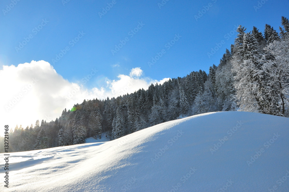 Wintertraum Wintertraum
