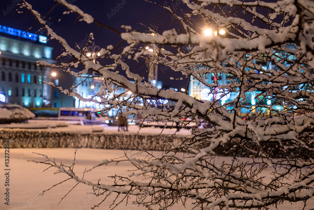 snow-covered tree branches against the evening city