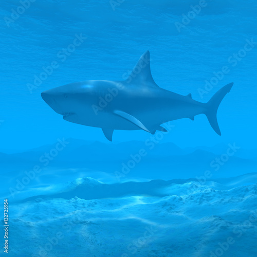 shark underwater 3d rendering