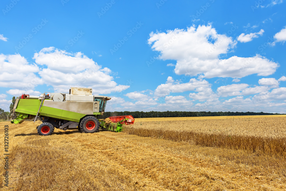 Obraz premium Combine harvester on a wheat field with blue sky.