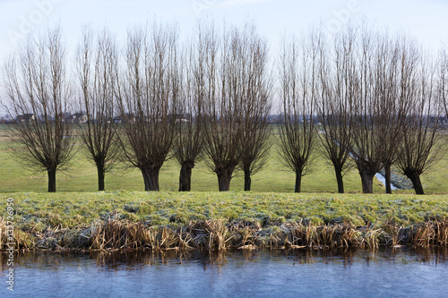Принти на полотні Frozen water polder landscape in the Netherlands