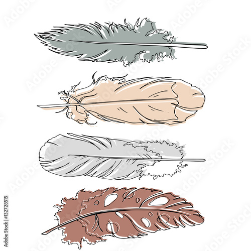 Graphic pastel colored feather set. Hand drawn vector illustration.