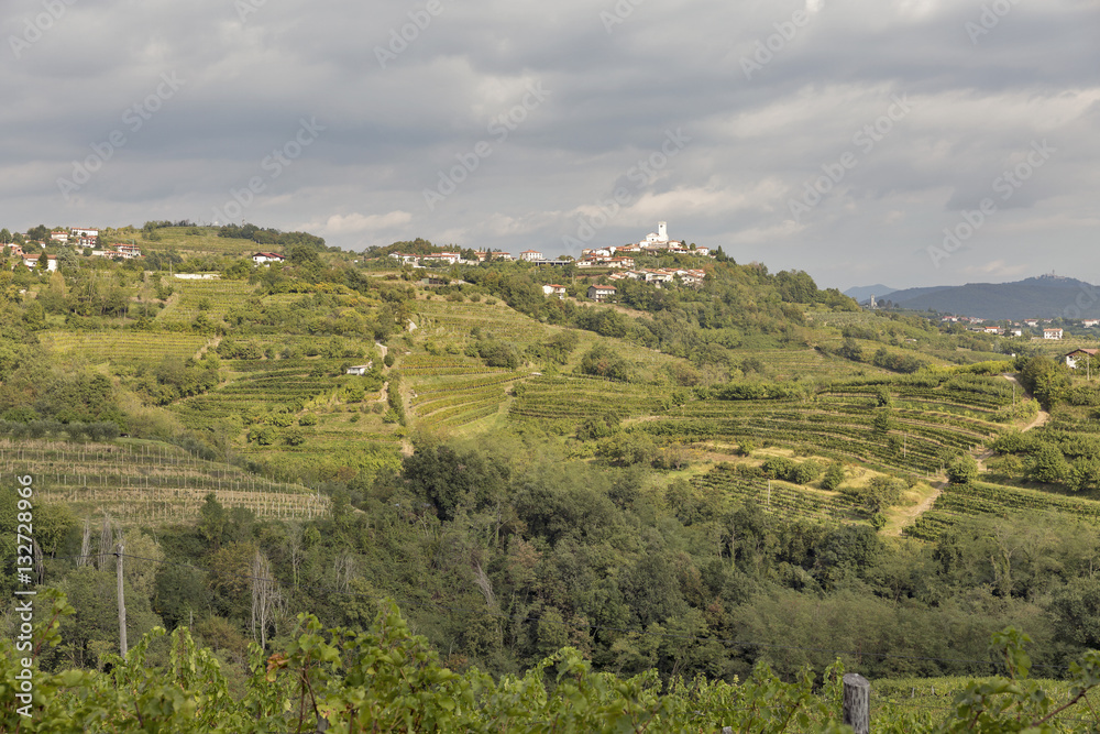 Rural mediterranean landscape with vineyards and Smartno village, Slovenia